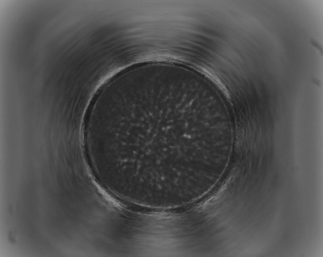 X0000091671037200709131525