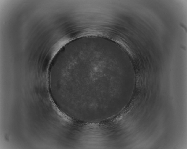 X0000091671038200709131525