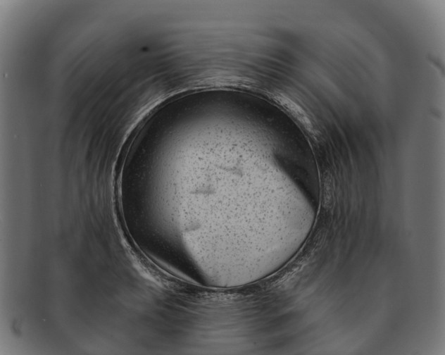 X0000091671039200709131525