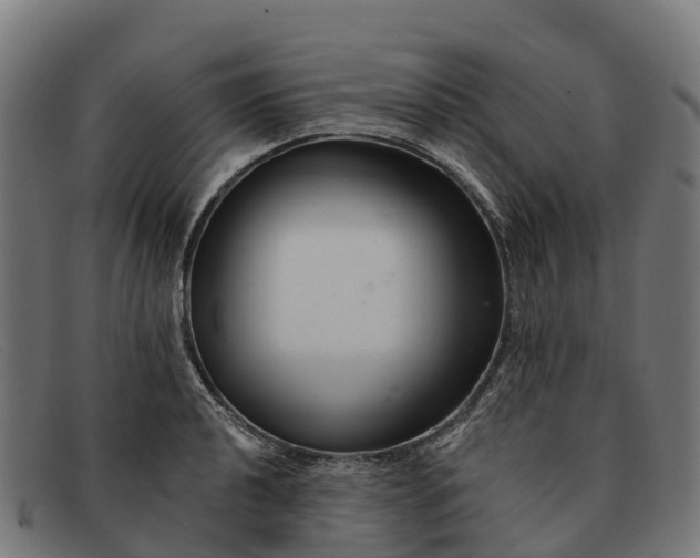 X0000091671040200709131525