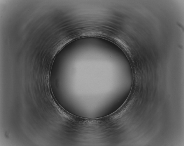 X0000091671041200709131525