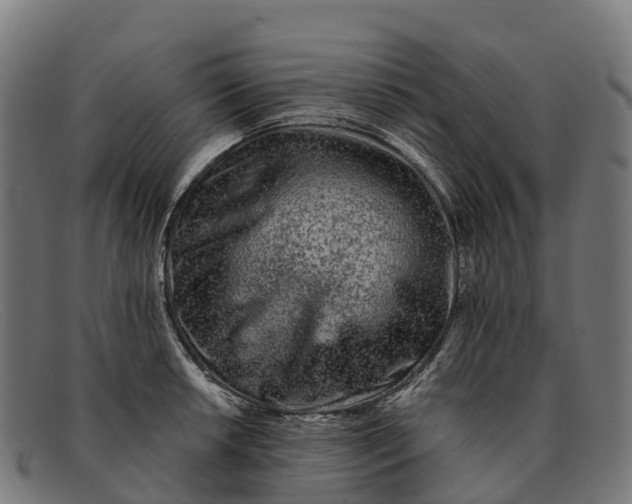 X0000091671042200709131525