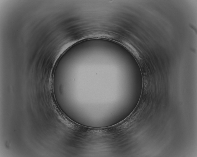 X0000091671044200709131525