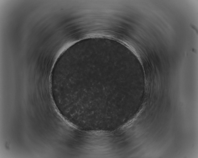 X0000091671045200709131525