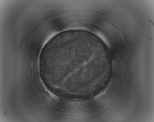 X0000091671046200709131525