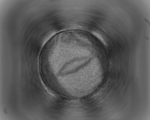 X0000091671047200709131525