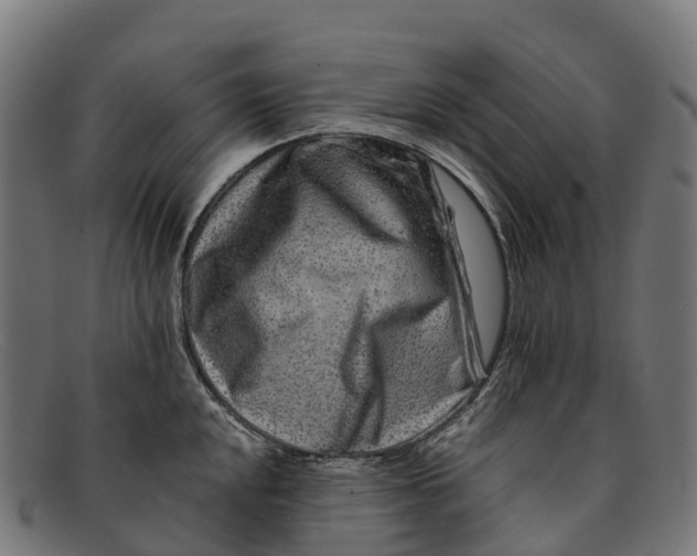 X0000091671048200709131525