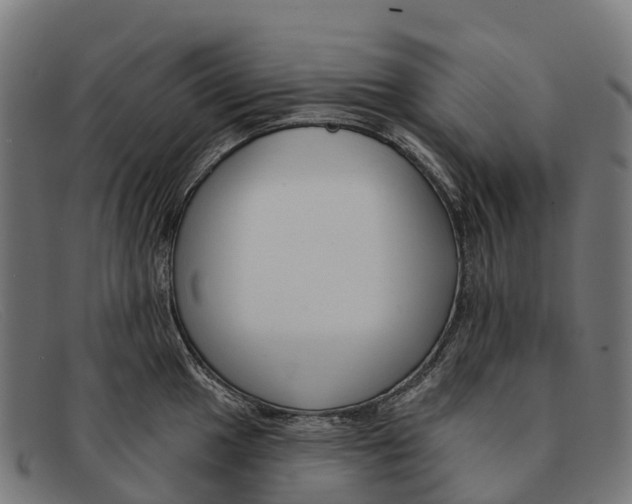 X0000091671049200709131525