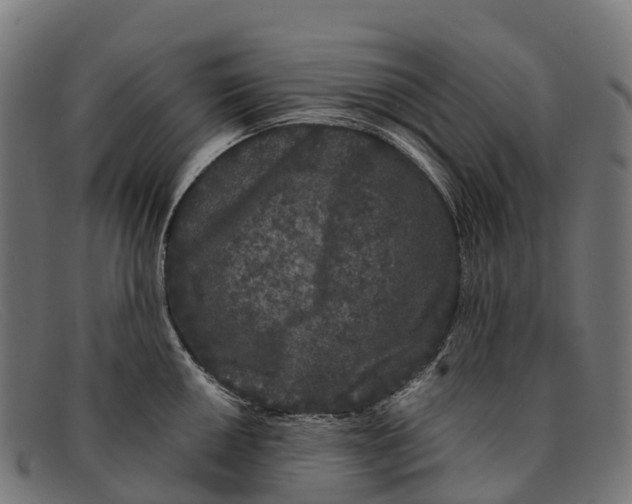 X0000091671050200709131525