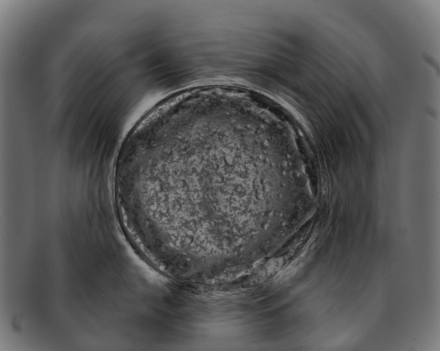 X0000091671054200709131525