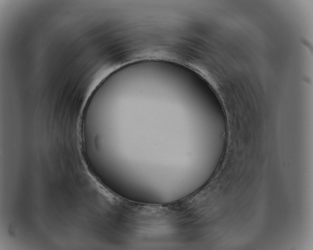 X0000091671056200709131525