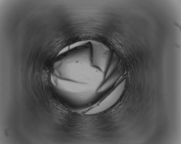 X0000091671059200709131524