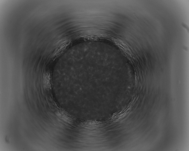 X0000091671060200709131524