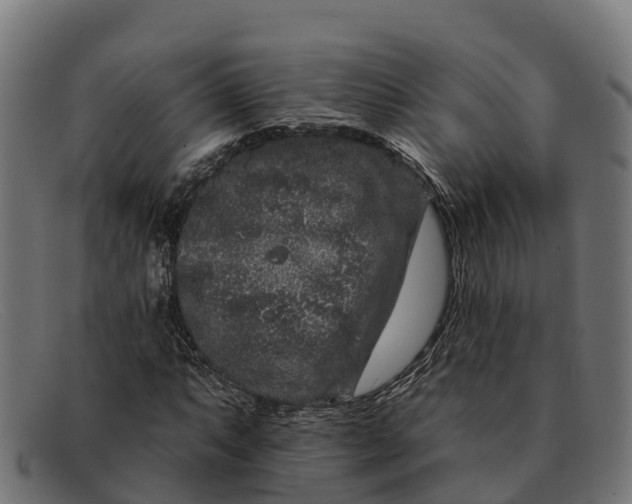 X0000091671063200709131524