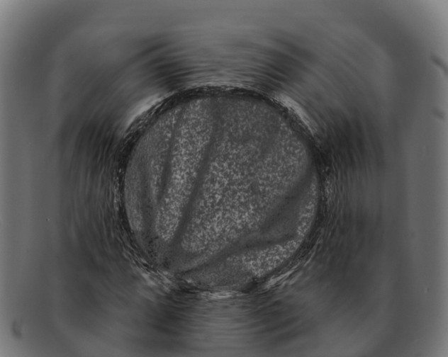 X0000091671064200709131524