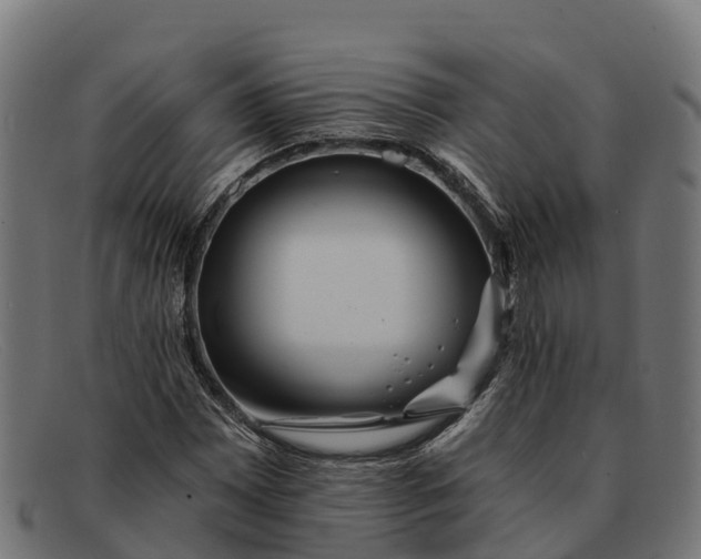 X0000091671065200709131524