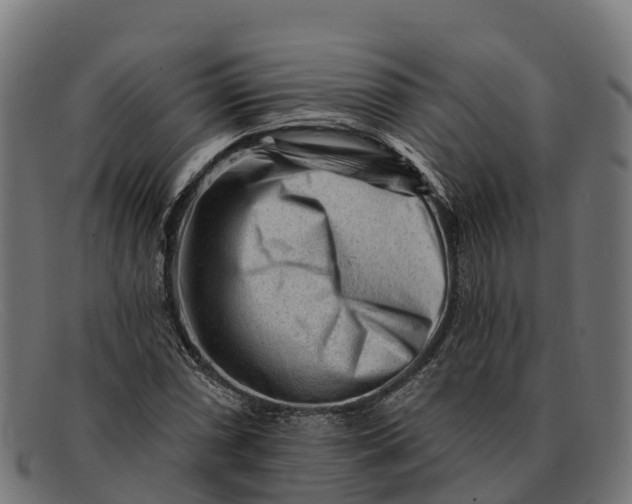 X0000091671066200709131524