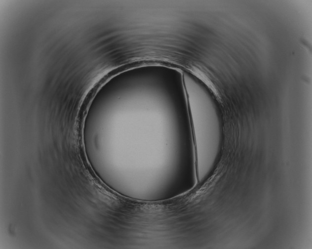 X0000091671068200709131524