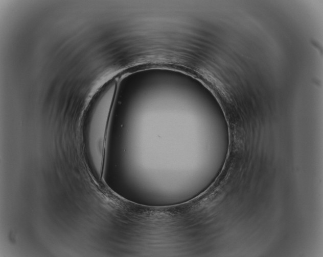 X0000091671070200709131524