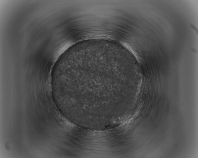 X0000091671071200709131524