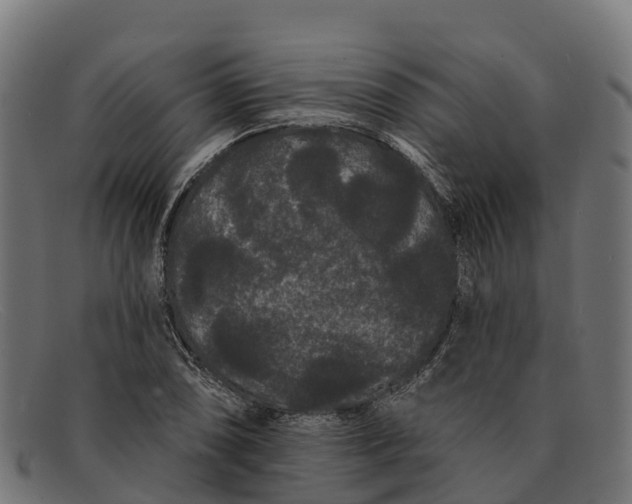 X0000091671074200709131524