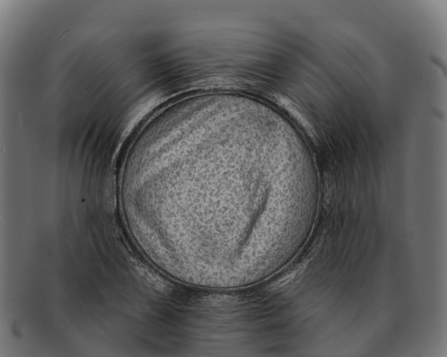 X0000091671075200709131524