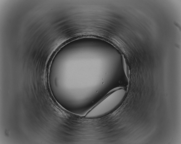 X0000091671076200709131524