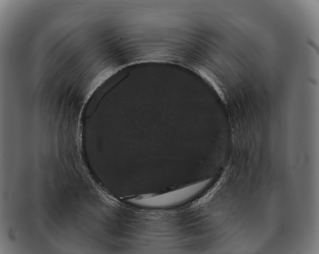 X0000091671077200709131524