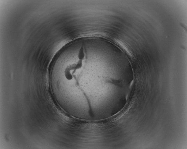 X0000091671079200709131524