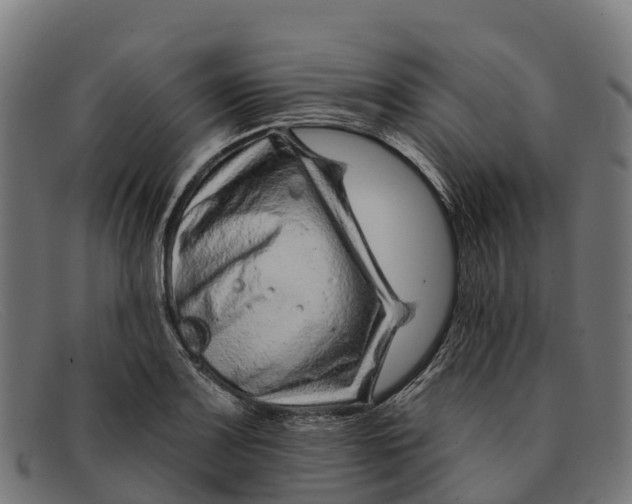 X0000091671083200709131524