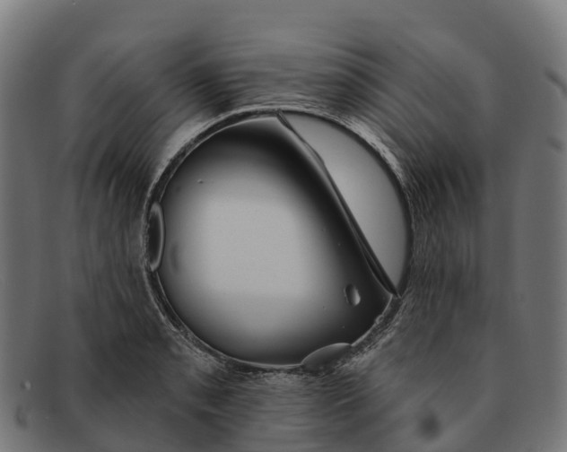 X0000091671085200709131524