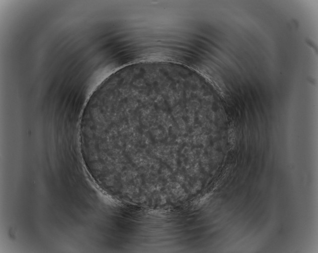 X0000091671086200709131524