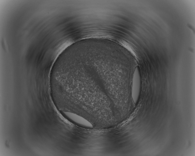 X0000091671087200709131524