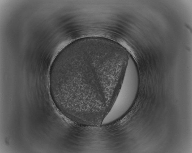 X0000091671088200709131524