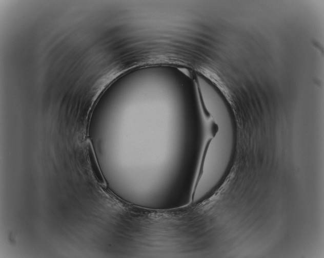 X0000091671089200709131524