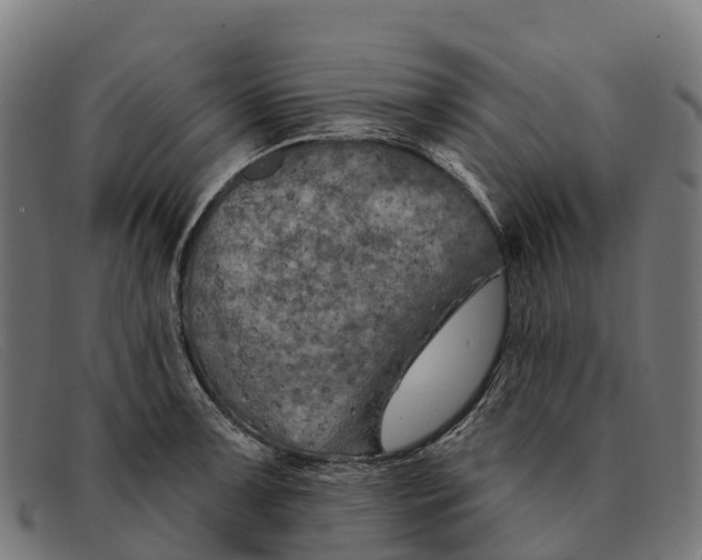 X0000091671091200709131524