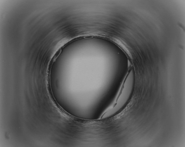 X0000091671093200709131524