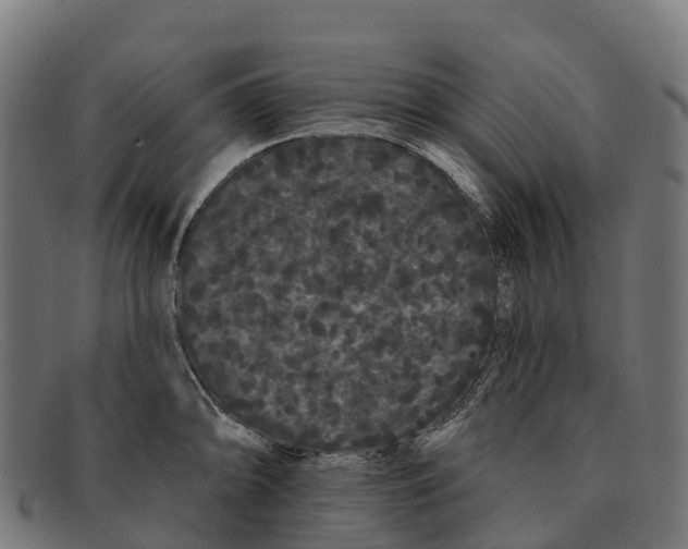 X0000091671094200709131524