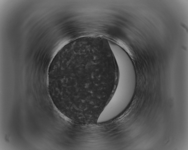 X0000091671095200709131524