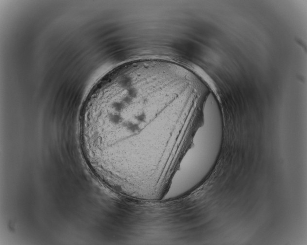 X0000091671096200709131524