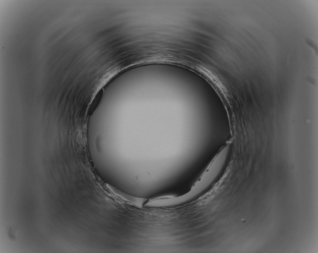 X0000091671097200709131524