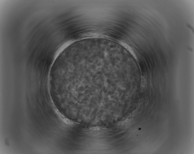 X0000091671098200709131524