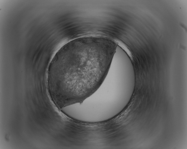 X0000091671099200709131524