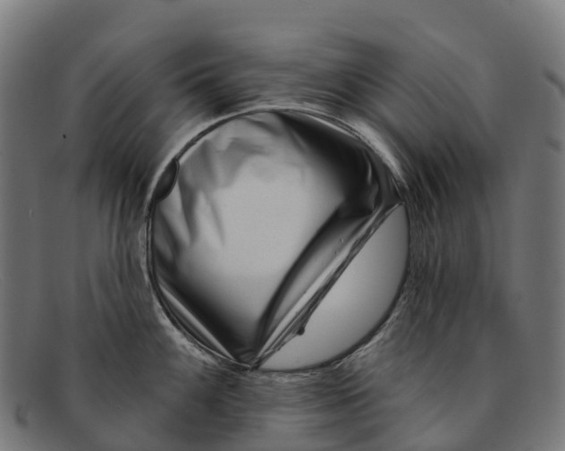 X0000091671100200709131524