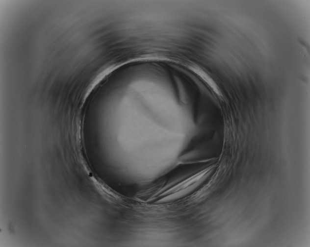 X0000091671101200709131524