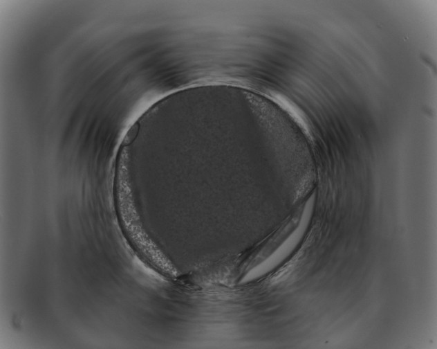 X0000091671102200709131524