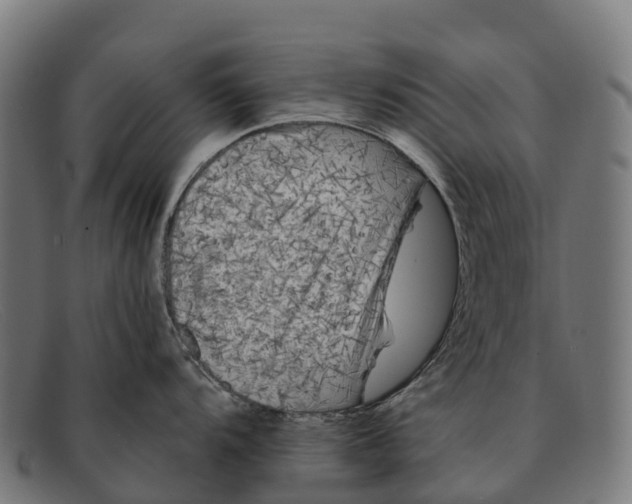 X0000091671104200709131524