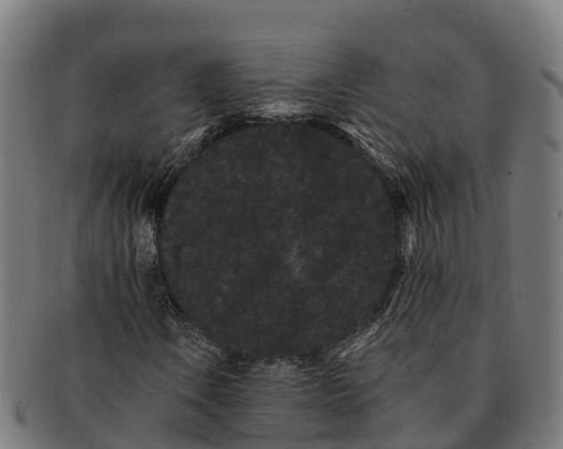 X0000091671106200709131523