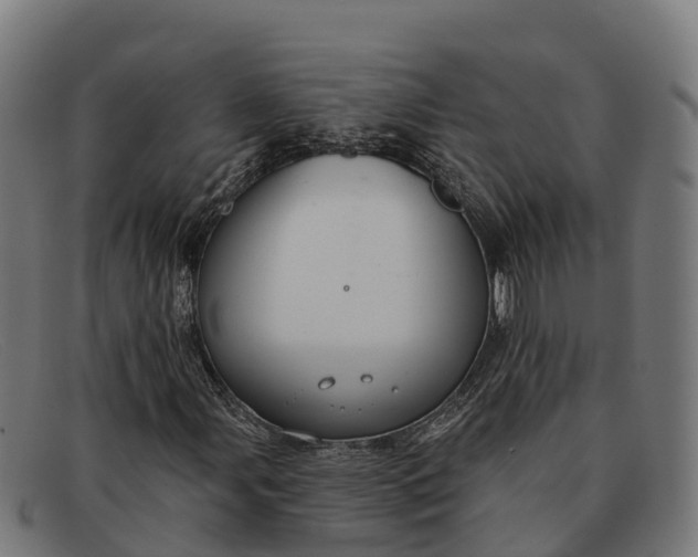 X0000091671107200709131523