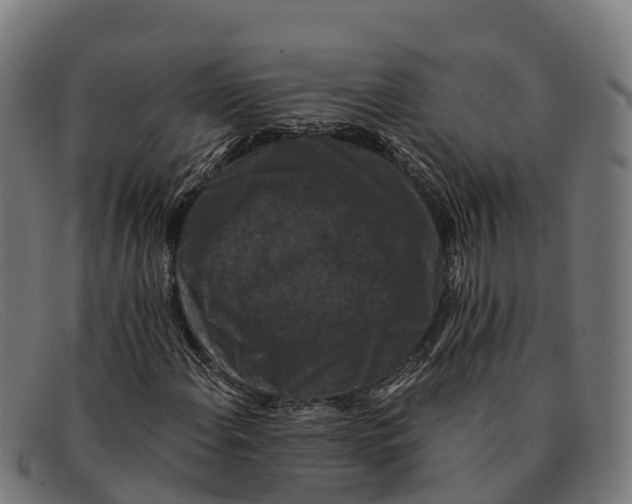 X0000091671108200709131523